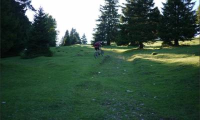 Montée en direction de La Grandsonne