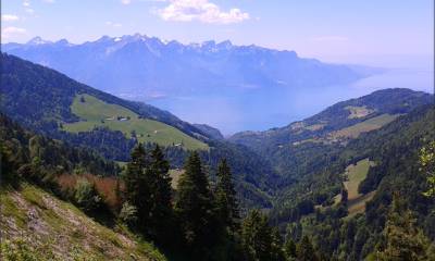 Vue sous Cap au Moine